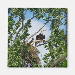 Hot Eagles Magnet