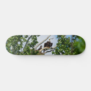 Hot Eagles Skateboard