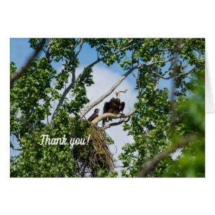Hot Eagles Thank You Card