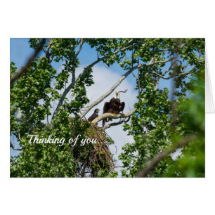Hot Eagles Thinking Of You Card