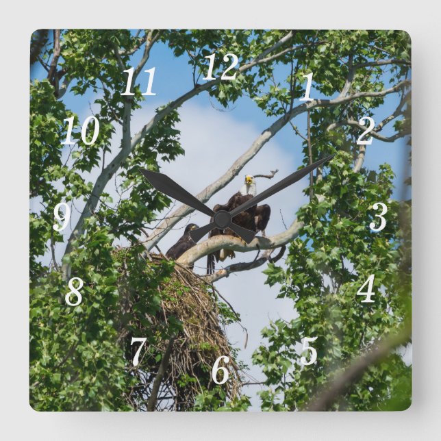 Hot Eagles Wall Clock (Front)