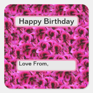 Hot Magenta Geranium Flowers, Square Sticker