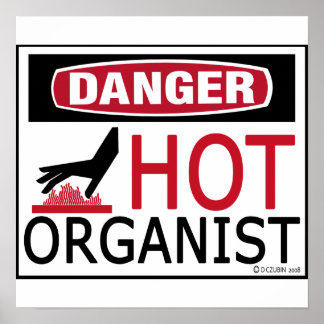 Hot Organist Poster