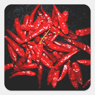 Hot Pepper - Still Life Square Sticker
