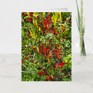 Hot Peppers for Hot Chile! Foil Greeting Card