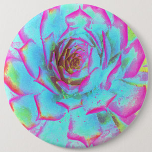 Hot Pink and Blue Succulent Sedum Rosette 6 Cm Round Badge