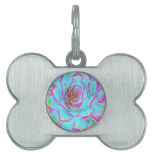 Hot Pink and Blue Succulent Sedum Rosette Pet ID Tag