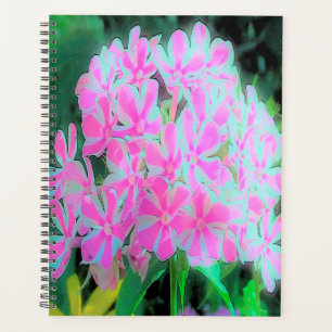 Hot Pink and White Peppermint Twist Garden Phlox Planner