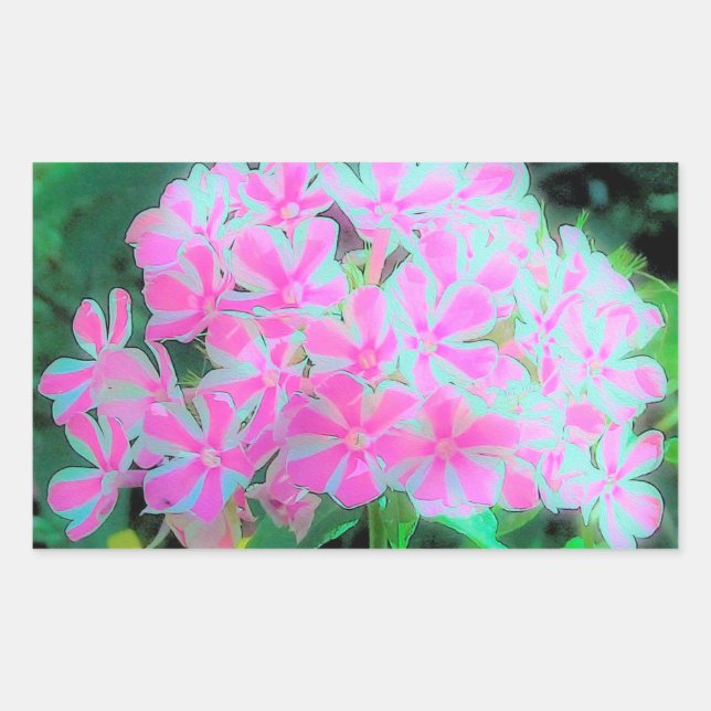 Hot Pink and White Peppermint Twist Garden Phlox Rectangular Sticker (Front)