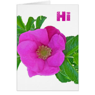 Hot Pink Beach Rose Coordinating Items