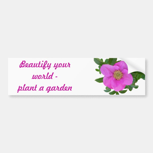 Hot Pink Beach Rose Coordinating Items Bumper Sticker (Front)