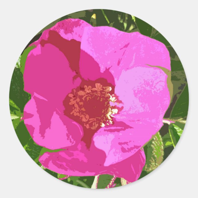 Hot Pink Beach Rose Digital Art Sticker (Front)