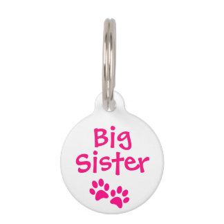 Hot Pink Big Sister Pet Dog Cat Tag with Name