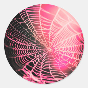 Hot Pink Black Creepy Spooky Spider Web Classic Round Sticker