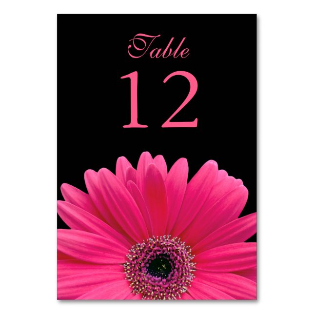 Hot Pink Black Gerber Daisy Wedding Table Number (Front)