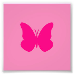 hot pink butterfly photo print