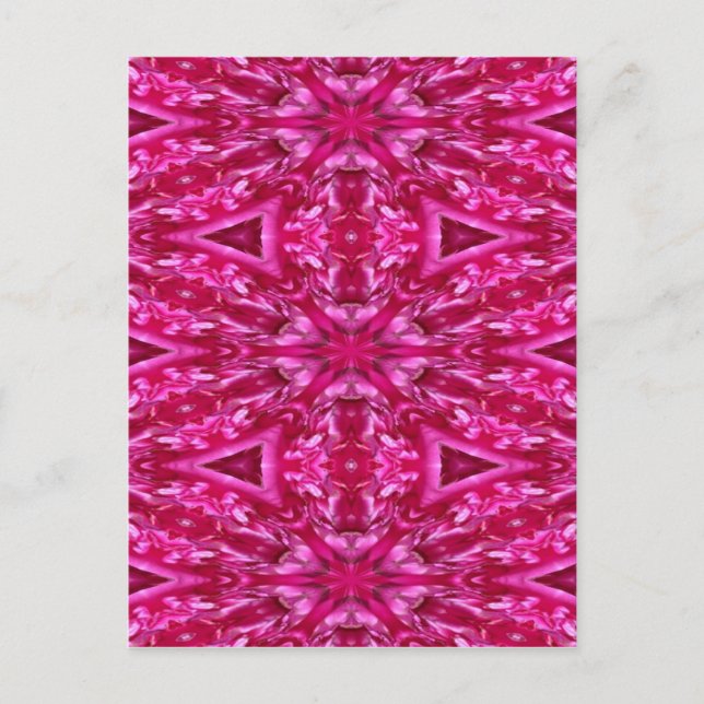 Hot Pink Cabbage Rose Art Postcard (Front)
