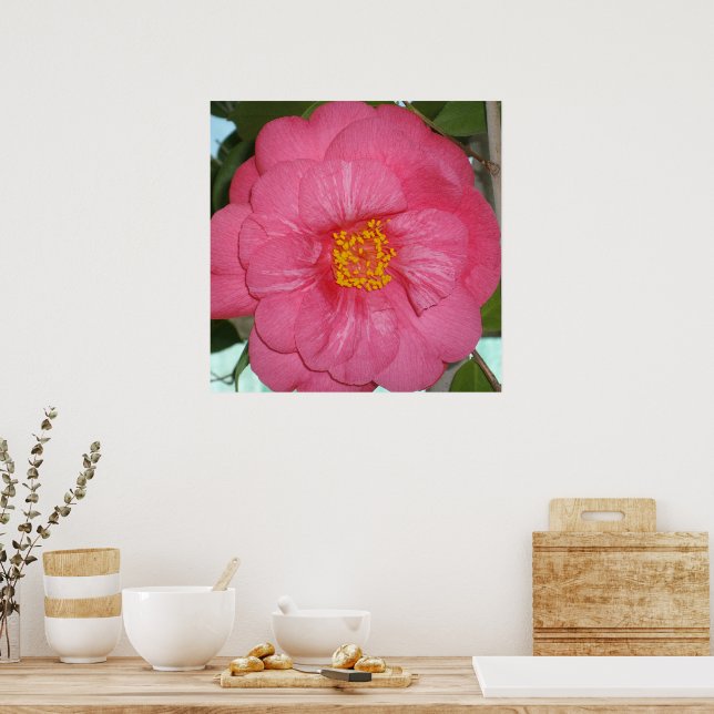 Hot Pink Camellia Growing On A Tree, Poster (Kitchen)