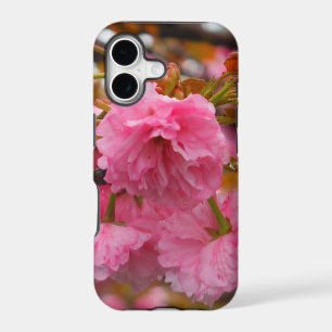 Hot Pink Cherry Blossom Flowers