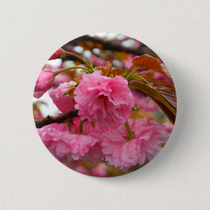 Hot Pink Cherry Blossom Flowers 6 Cm Round Badge