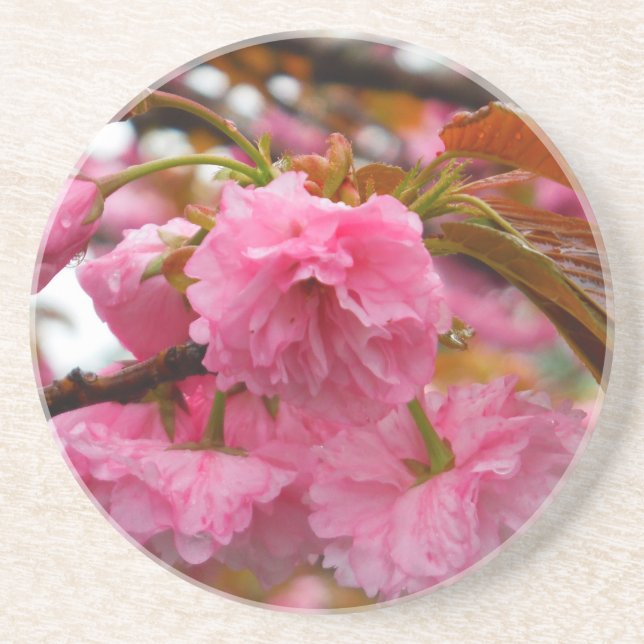 Hot Pink Cherry Blossom Flowers Coaster (Front)