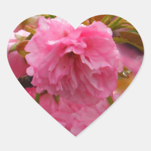 Hot Pink Cherry Blossom Flowers Heart Sticker