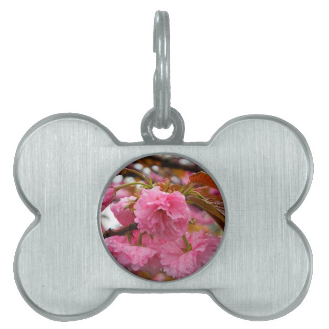Hot Pink Cherry Blossom Flowers Pet ID Tag (Front)