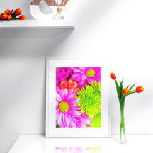Hot Pink Daisies And Green Mums Poster