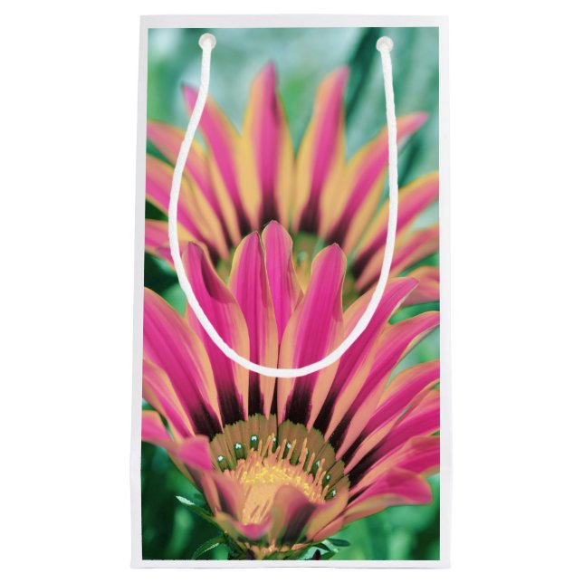 Hot Pink Daisy Petals Small Gift Bag (Front)