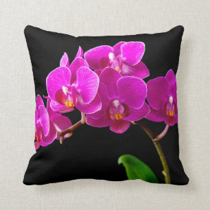 Hot Pink Dendrobium Orchid Flower Orchids Template Cushion