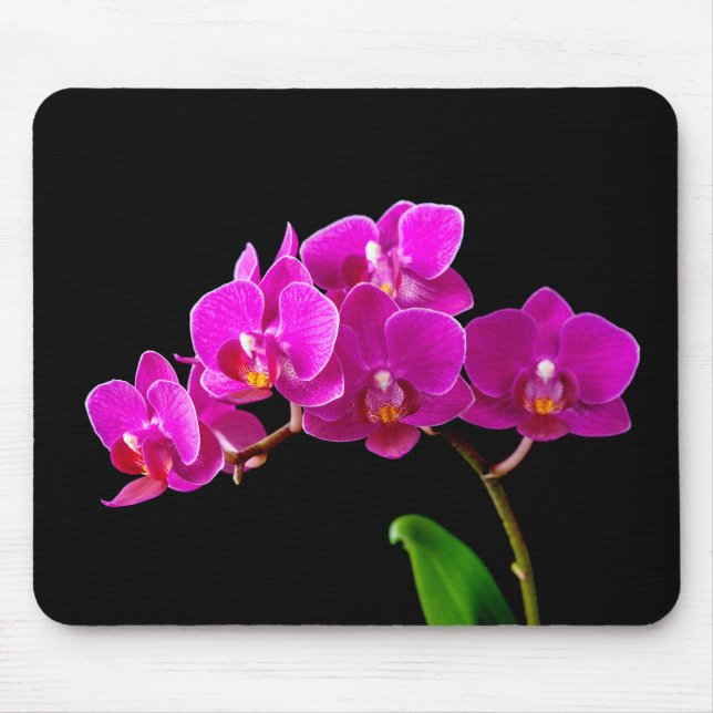 Hot Pink Dendrobium Orchid Flower Orchids Template Mouse Pad (Front)