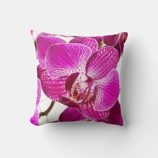 Hot Pink Dendrobium Orchid - Orchids Background Cushion (Front)