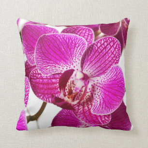 Hot Pink Dendrobium Orchid - Orchids Background Cushion