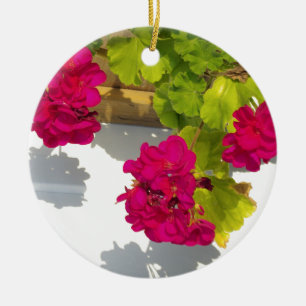 HOt pink floral flowers Pink Geranium Ceramic Ornament