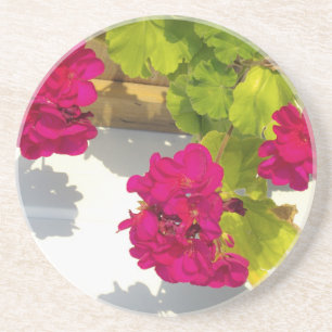 HOt pink floral flowers Pink Geranium Coaster