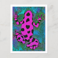 Hot Pink Frog with Black Spots