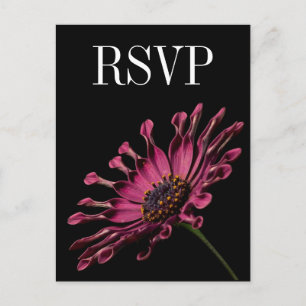 Hot Pink Fuchsia Daisy Wedding RSVP Postcard