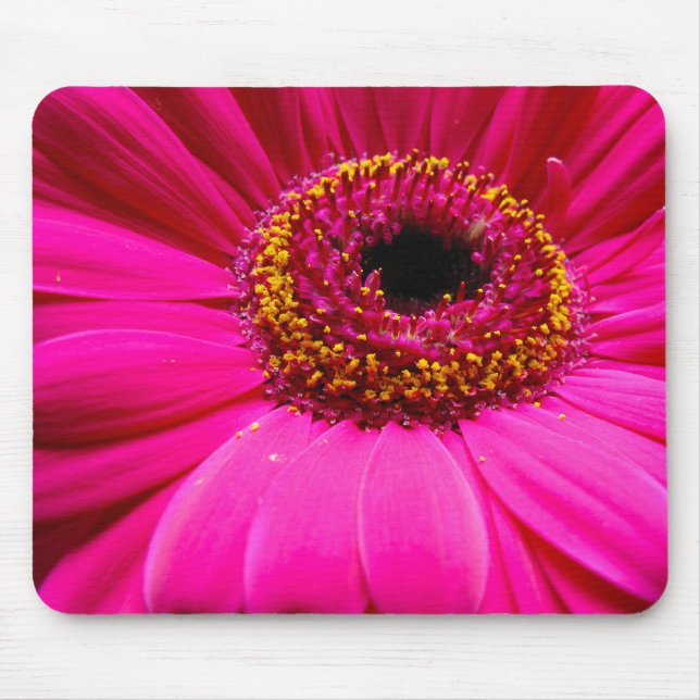 hot pink gerber daisy mouse pad (Front)
