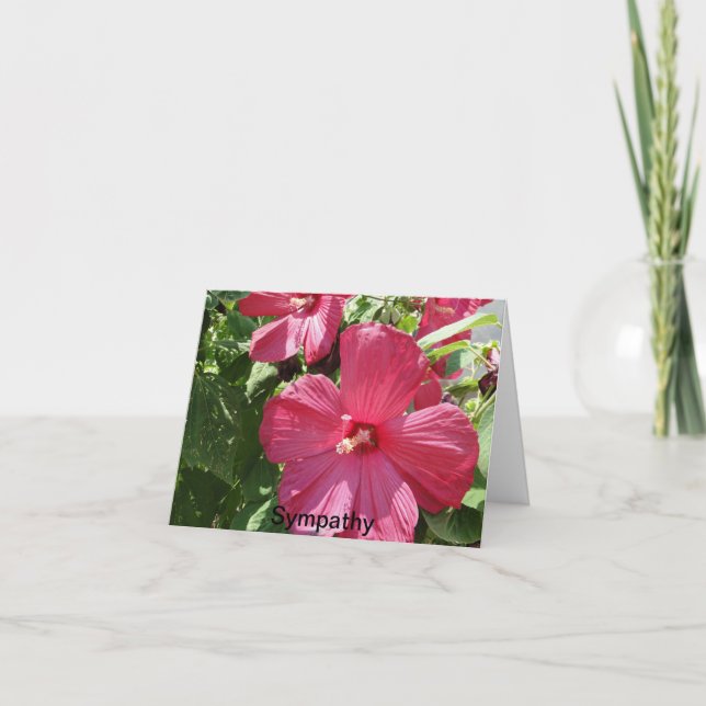 Hot Pink Hibiscus, Sympathy Card (Front)