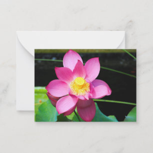 Hot Pink Lotus Flower Card
