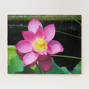 Hot Pink Lotus Jigsaw Puzzle
