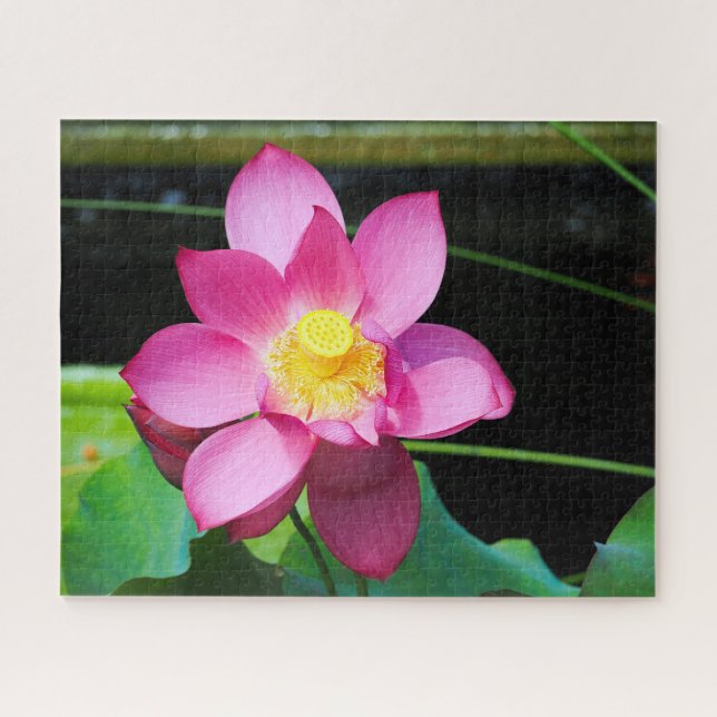 Hot Pink Lotus Jigsaw Puzzle (Horizontal)