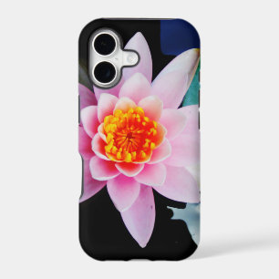 Hot Pink & orange lotus water lily flower