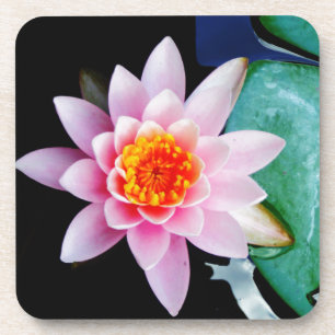 Hot Pink & orange lotus water lily flower Coaster