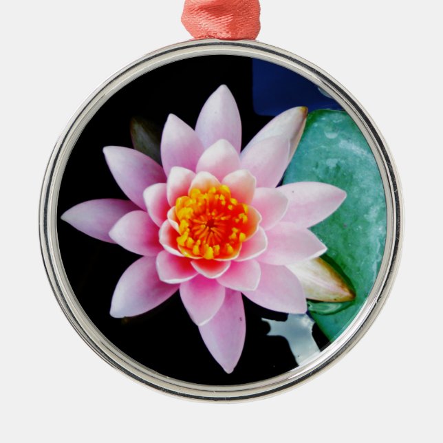 Hot Pink & orange lotus water lily flower Metal Ornament (Front)
