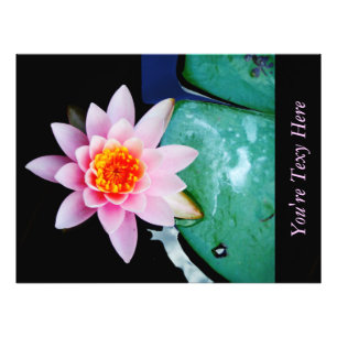 Hot Pink & orange lotus water lily flower Photo Print