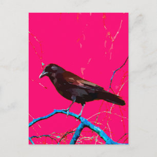 Hot Pink Raven Crow Postcard