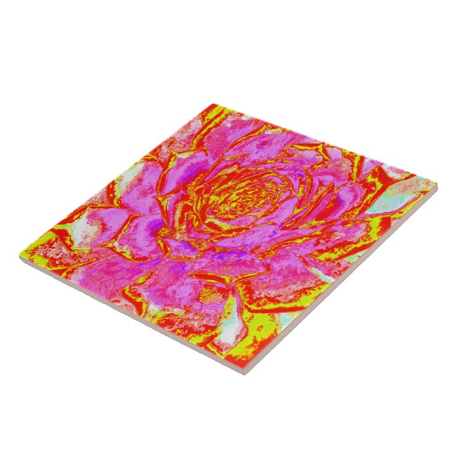 Hot Pink, Red and Yellow Succulent Sedum Rosette Ceramic Tile (Side)