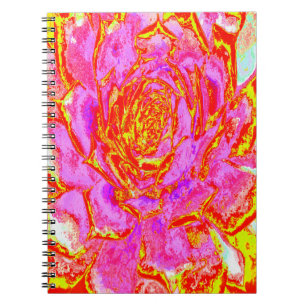 Hot Pink, Red and Yellow Succulent Sedum Rosette Notebook