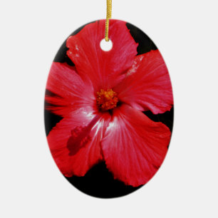 Hot Pink Red Hibiscus flower on Black Ceramic Ornament